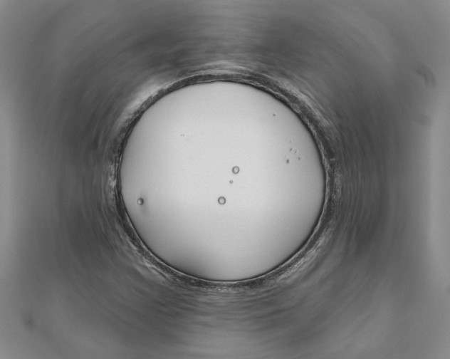 X0000111201355200907291221