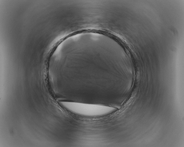 X0000111201359200907291221