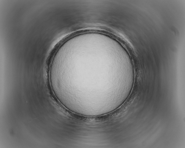 X0000111201360200907291221