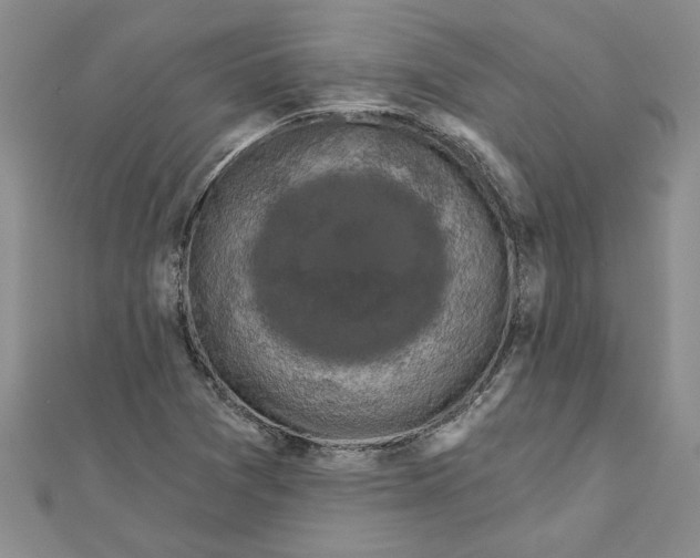 X0000111201361200907291221