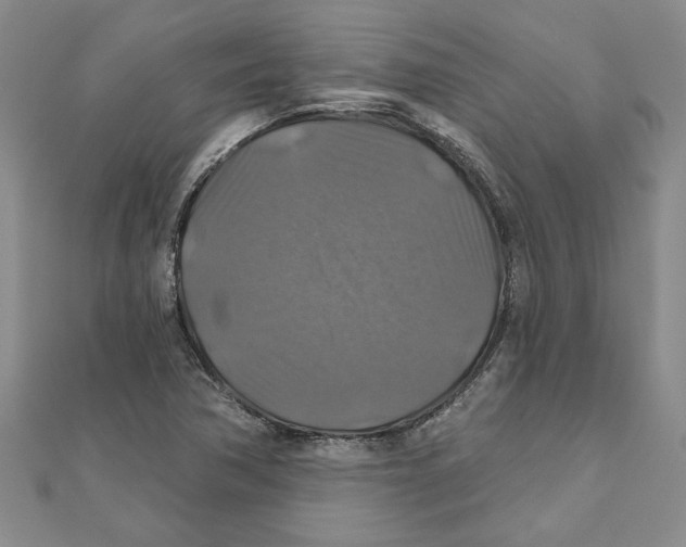 X0000111201362200907291221