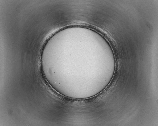 X0000111201363200907291221