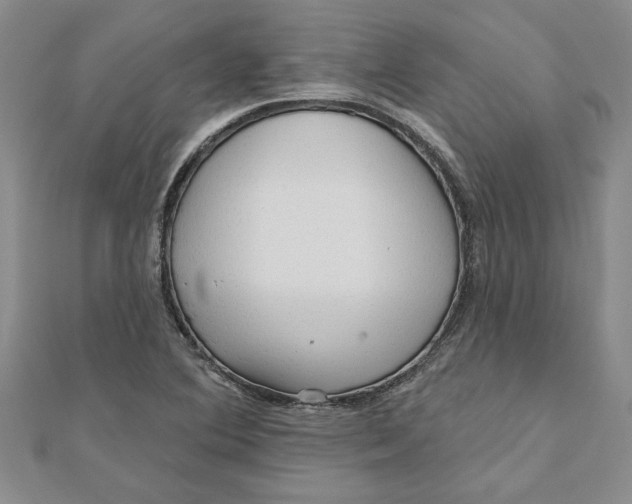 X0000111201364200907291221