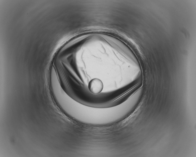 X0000111201365200907291221