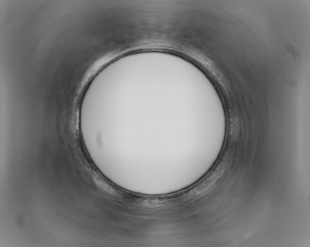 X0000111201366200907291221