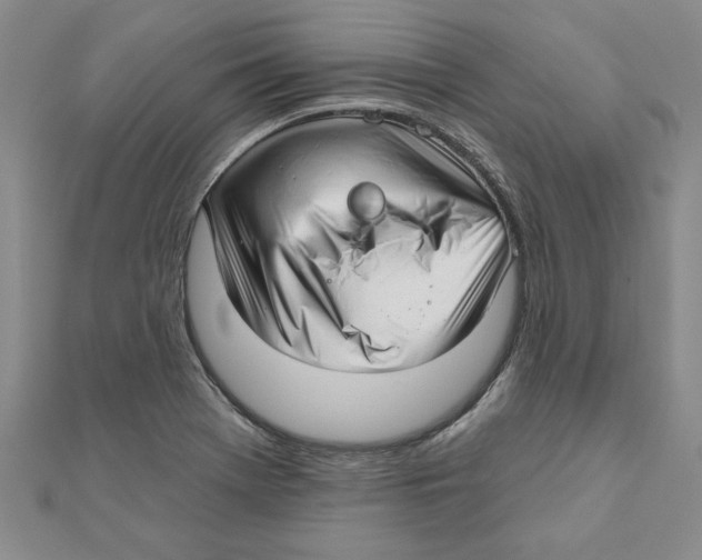 X0000111201369200907291221