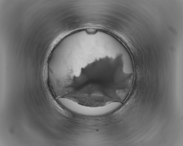 X0000111201371200907291221