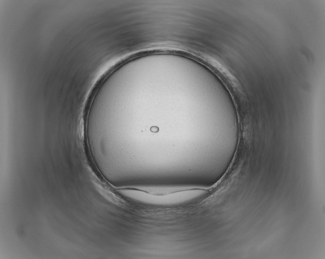 X0000111201372200907291221