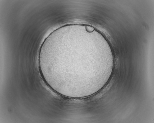 X0000111201374200907291221