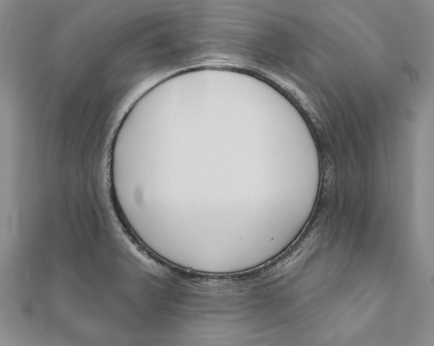 X0000111201375200907291221