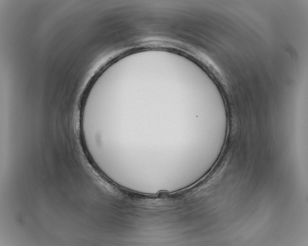 X0000111201376200907291221