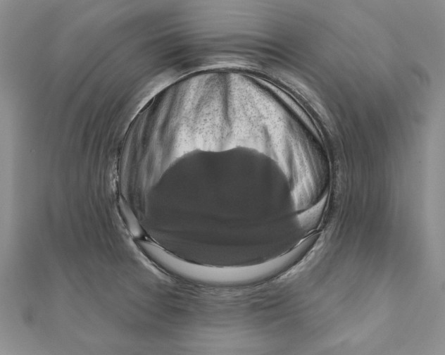 X0000111201377200907291221