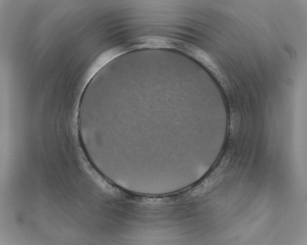 X0000111201378200907291221