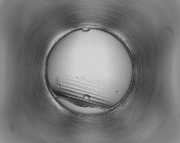 X0000111201379200907291221