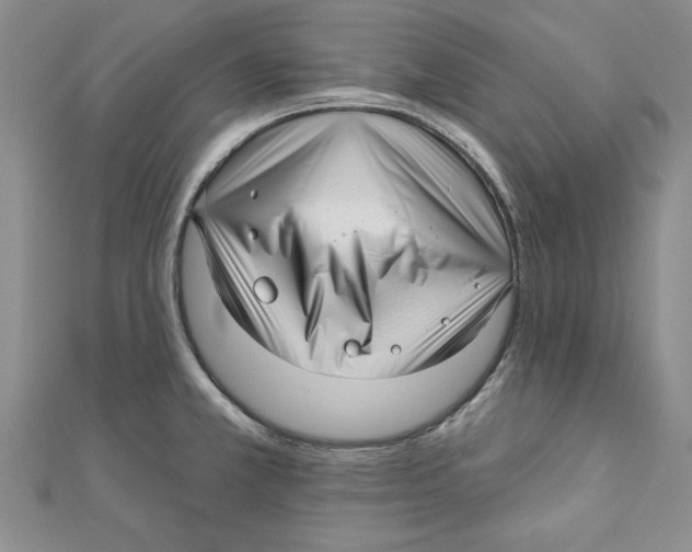 X0000111201381200907291221