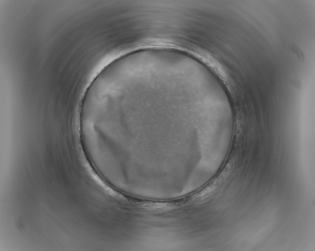 X0000111201382200907291221