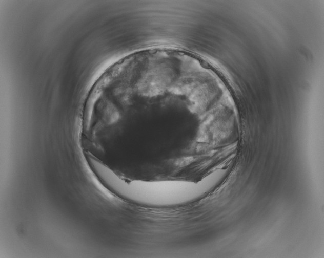 X0000111201383200907291221