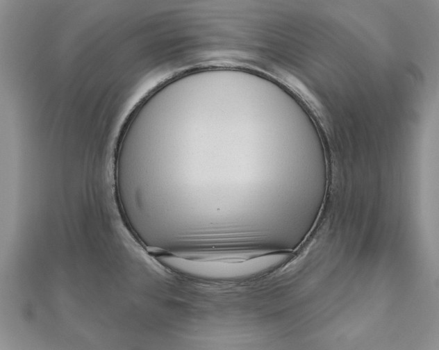 X0000111201384200907291221