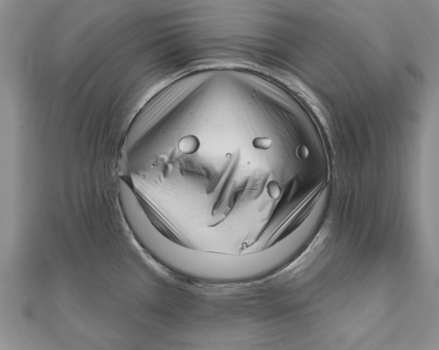 X0000111201385200907291221