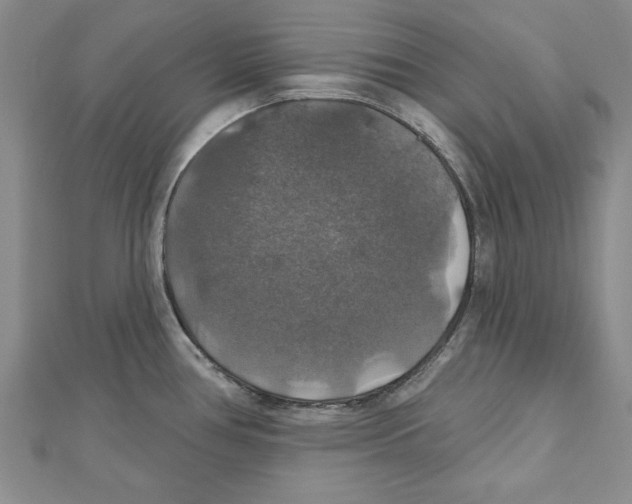 X0000111201386200907291221