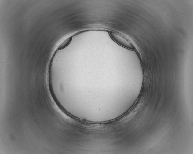 X0000111201387200907291221