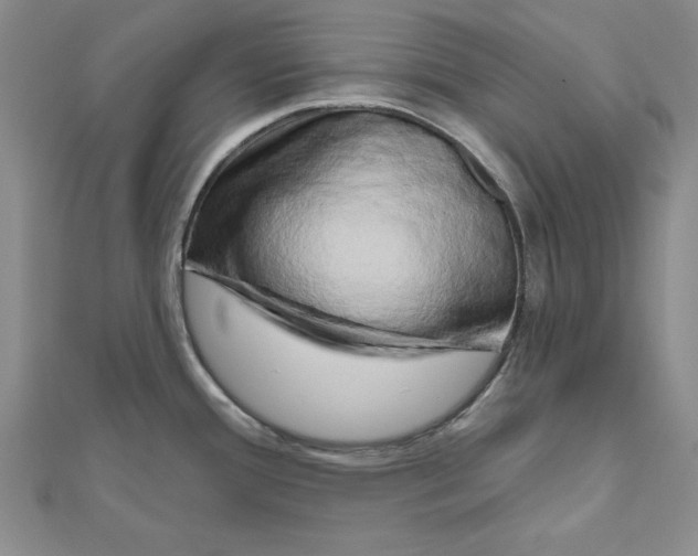 X0000111201388200907291221