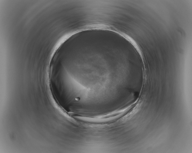 X0000111201389200907291221