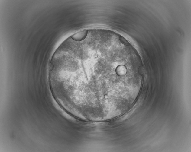 X0000111201390200907291221