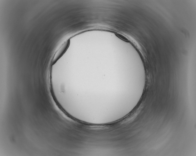 X0000111201391200907291221