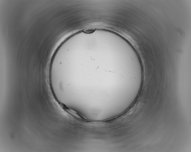 X0000111201392200907291221