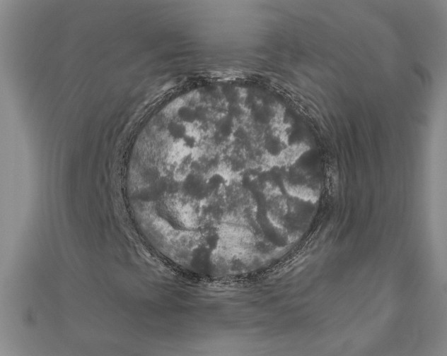 X0000111201393200907291220