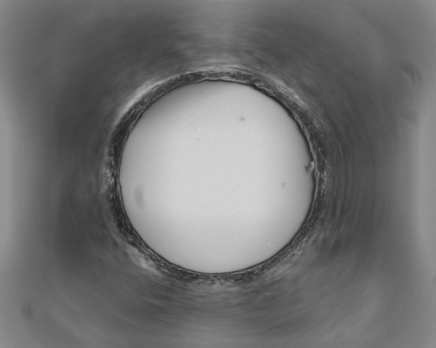 X0000111201400200907291220