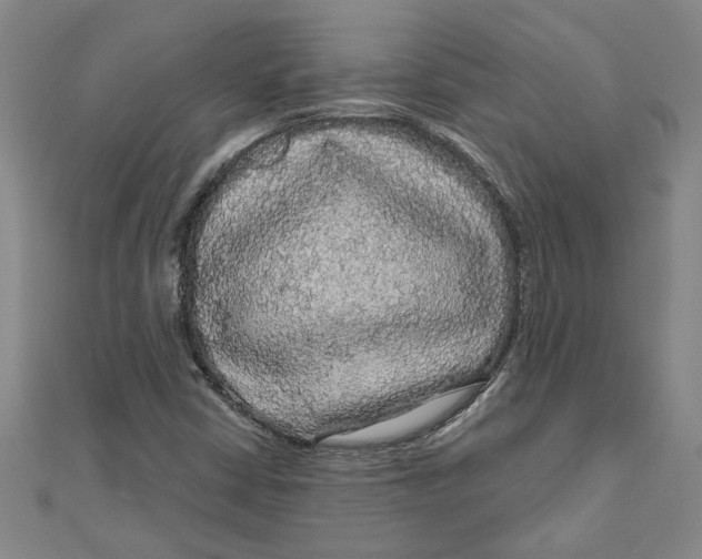 X0000111201402200907291220