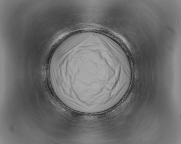 X0000111201407200907291220