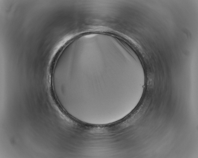 X0000111201414200907291220