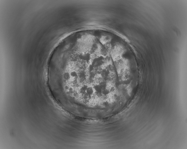 X0000111201415200907291220