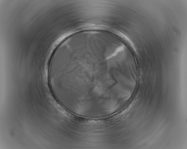 X0000111201419200907291220