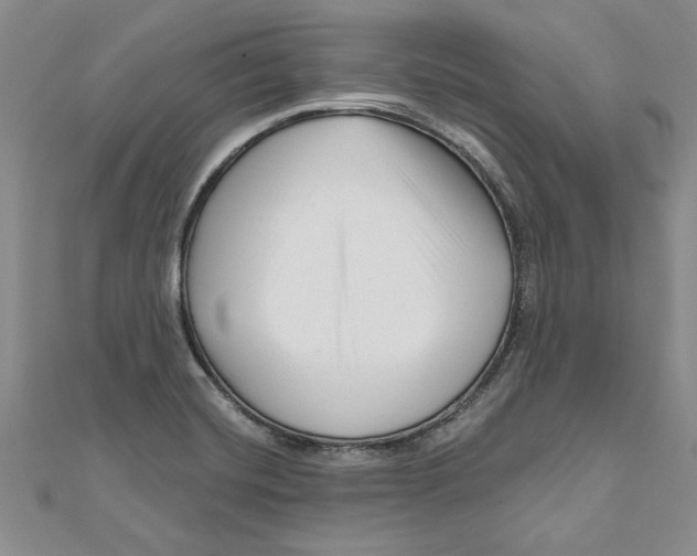 X0000111201420200907291220