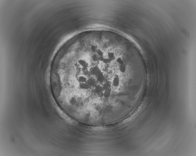 X0000111201421200907291220