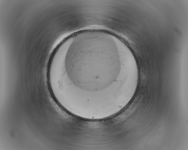 X0000111201422200907291220