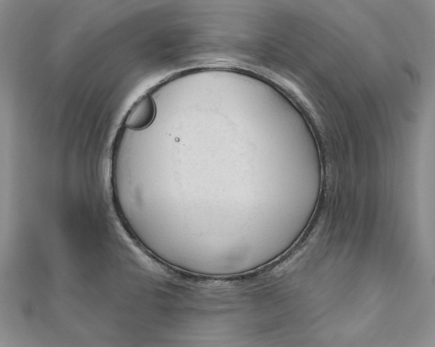 X0000111201424200907291220