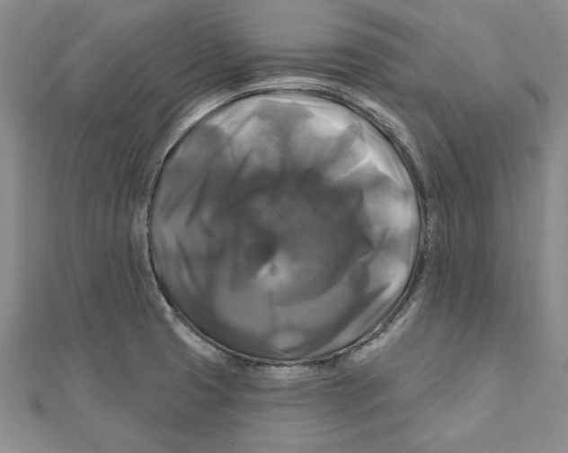 X0000111201425200907291220