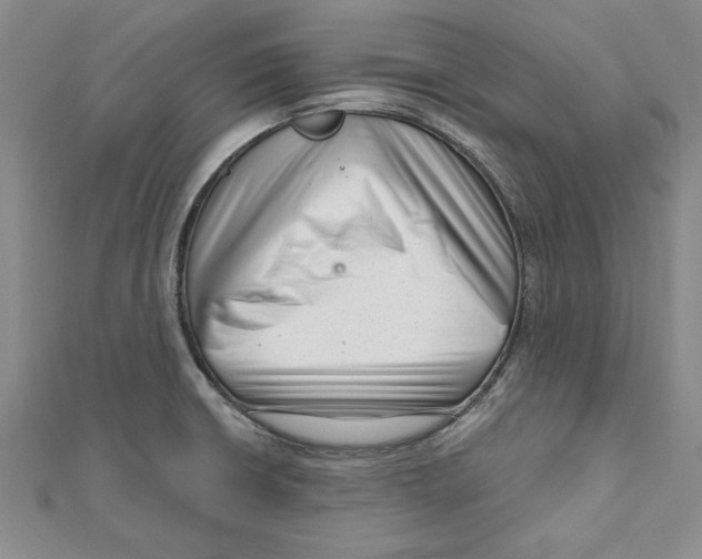 X0000111201426200907291220