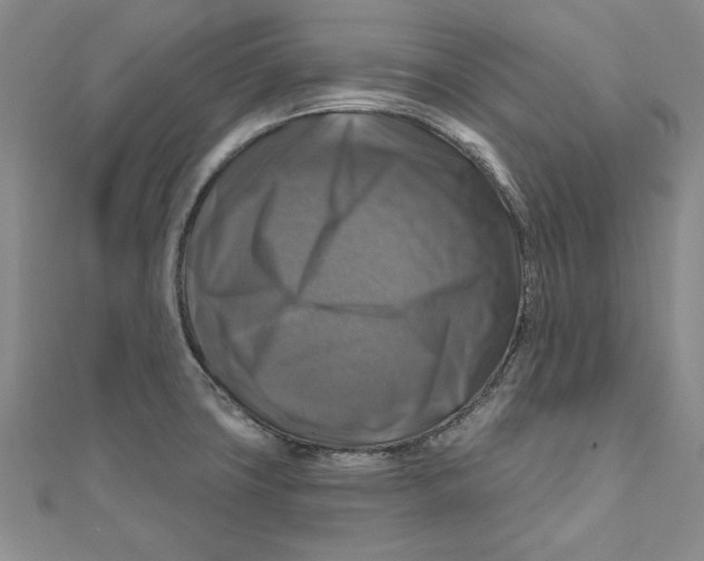 X0000111201427200907291220