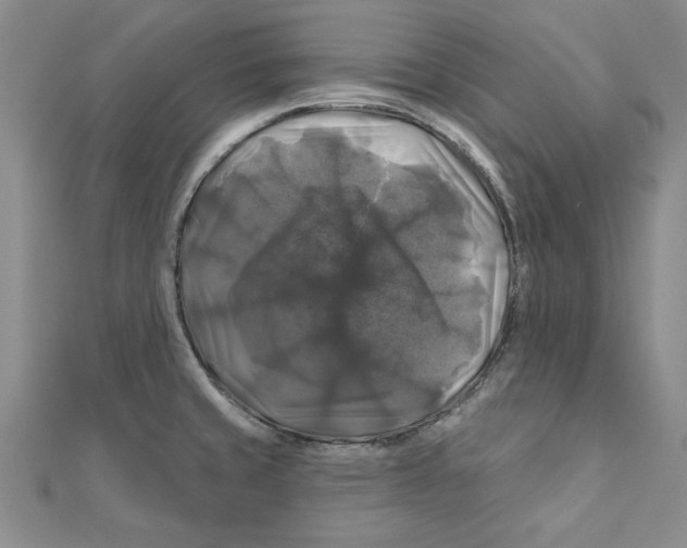 X0000111201429200907291221