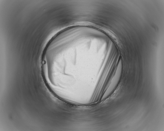 X0000111201430200907291221