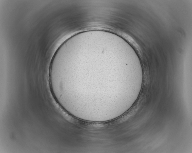 X0000111201431200907291221