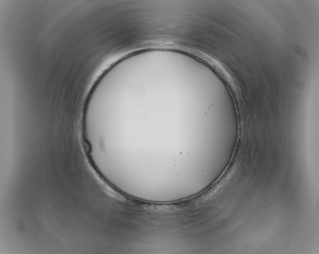 X0000111201432200907291221