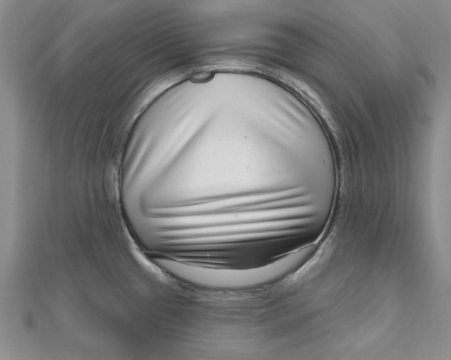 X0000111201433200907291221