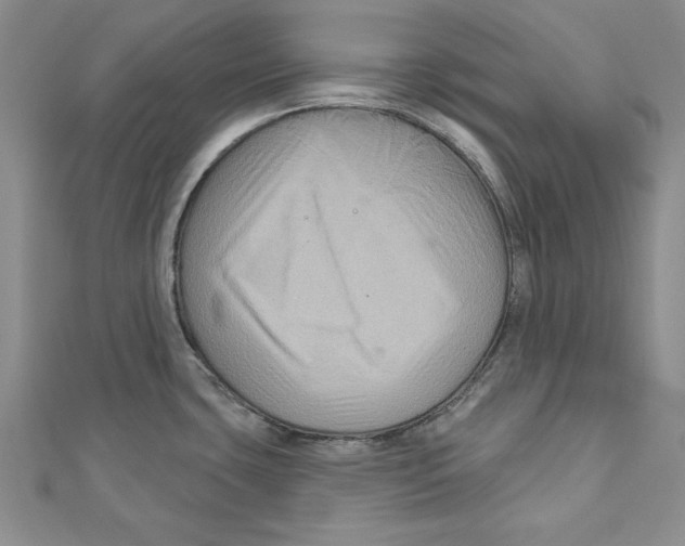 X0000111201435200907291221